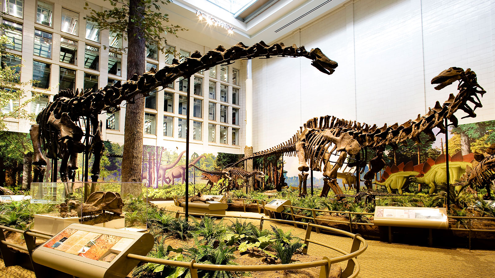 carnegie-museum-of-natural-history